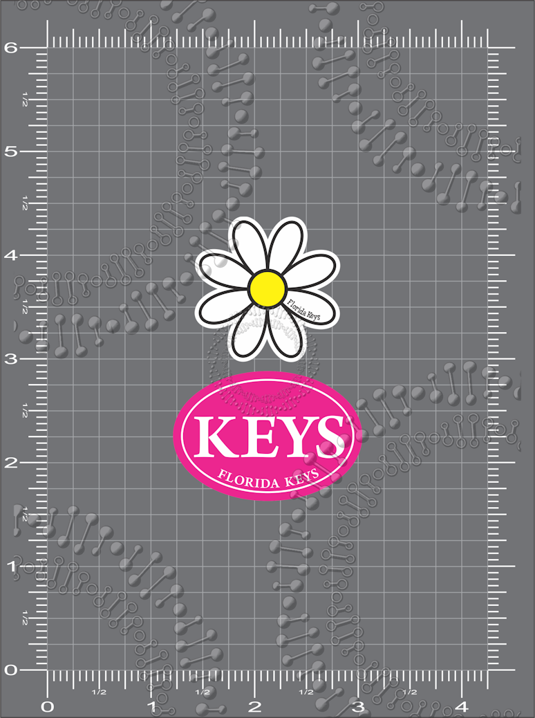 Florida Keys - White Daisy and Pink Oval Decal