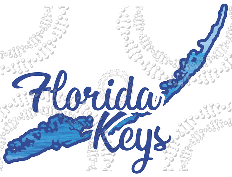 Florida Keys - Island Shape with Cursive Text Decal – Decal DNA