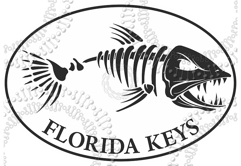 Florida Keys - White Fishbonz Decal