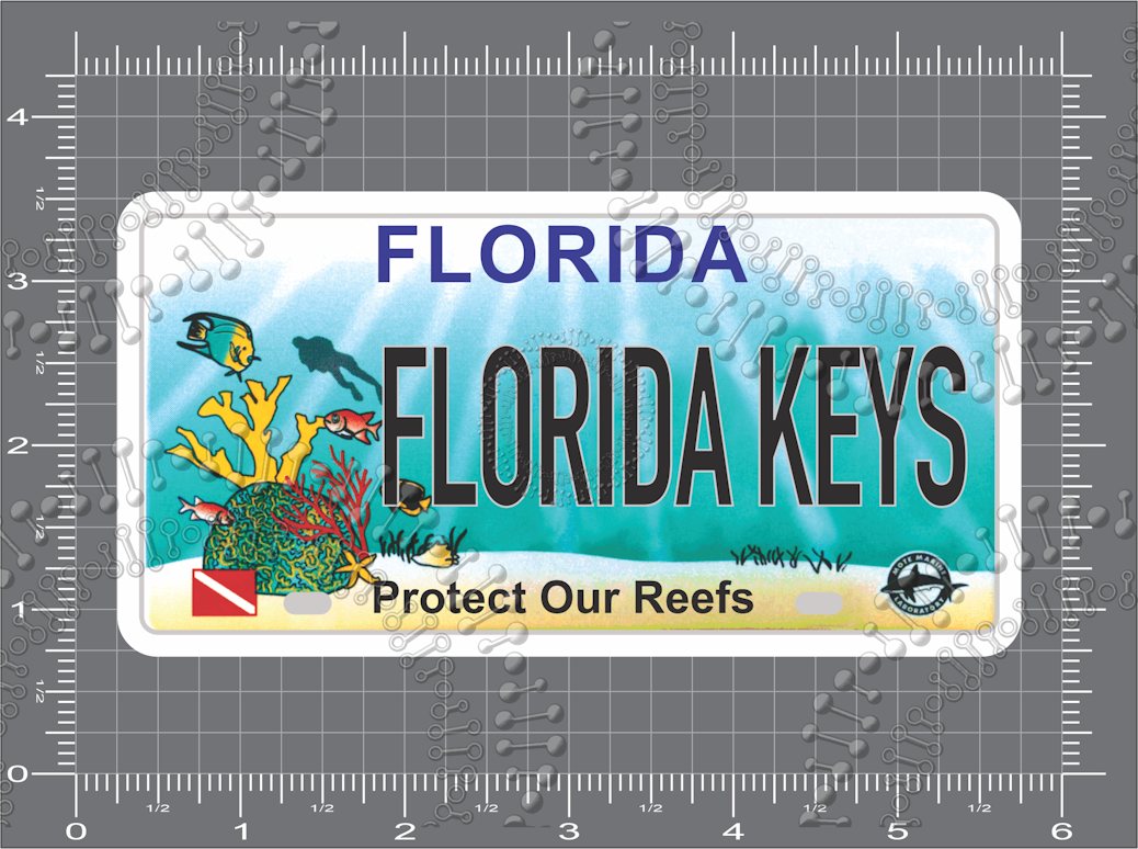 Florida Keys, FL - Reef License Plate Decal