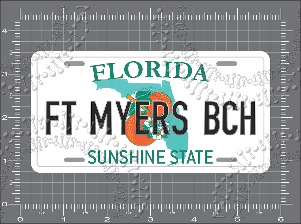 Fort Myers Beach, FL - License Plate Decal