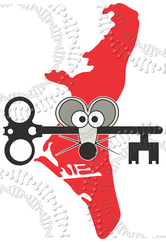 Key Biscayne, FL - Key Rat Decal – Decal DNA