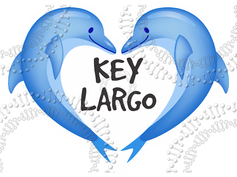 Key Largo, FL - Dolphin Heart Decal