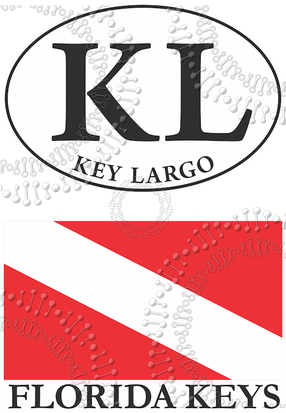 Key Largo, FL - KL White Oval and Florida Keys Dive Flag Decal – Decal DNA