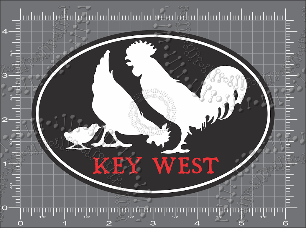 Key West, FL -  White Chickens with Chick Decal
