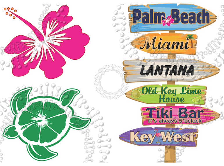 Palm Beach, FL - Directional Sign with Turtle, Hibiscus Decal